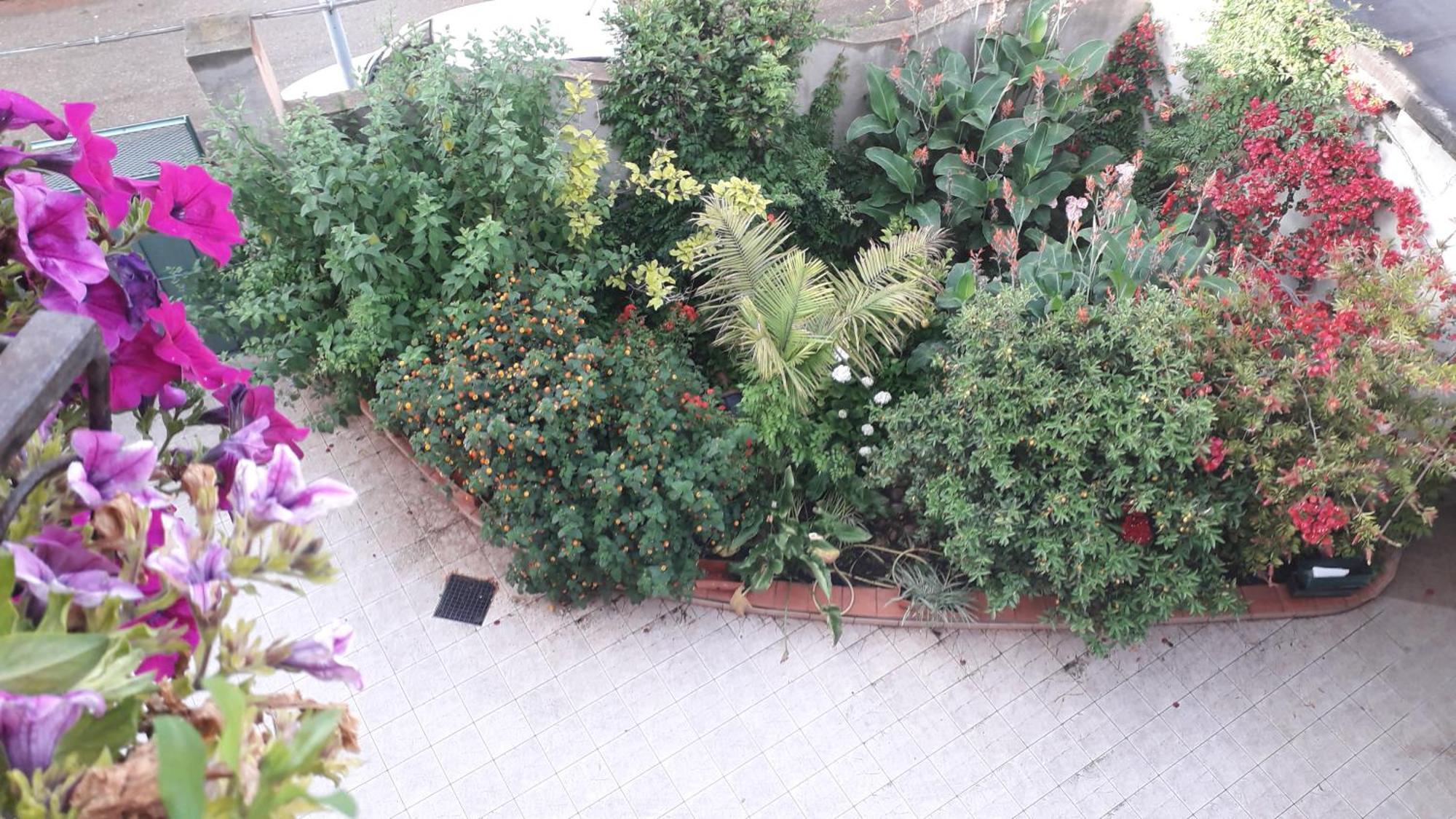 Bed And Breakfast Le Petunie Bari Sardo Dış mekan fotoğraf